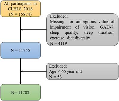 Were there any missing mediators between visual impairment and anxiety symptoms? Results from Chinese Longitudinal Healthy Longevity Survey